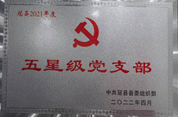 说明: 五星党支部
