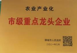 说明: 龙头企业